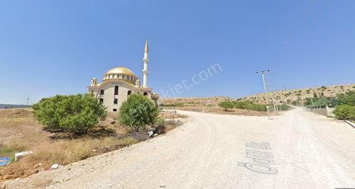 Arsa-Bağ & Bahçe