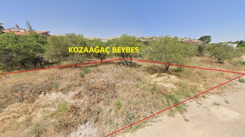 Arsa-Bağ & Bahçe