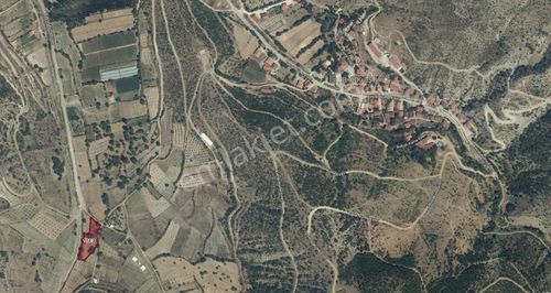 Arsa-Arazi
