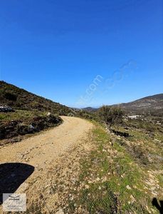 Arsa-Tarla
