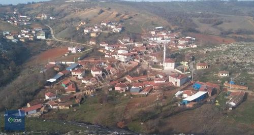 Arsa-Tarla