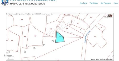 Arsa-Zeytinlik