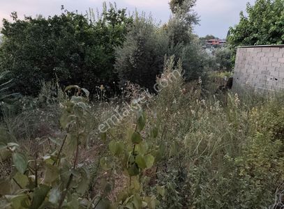 Konut-Müstakil Ev