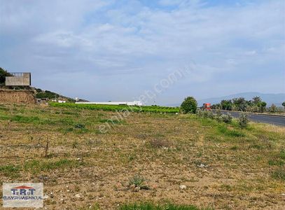 Arsa-Depo, Antrepo İzinli