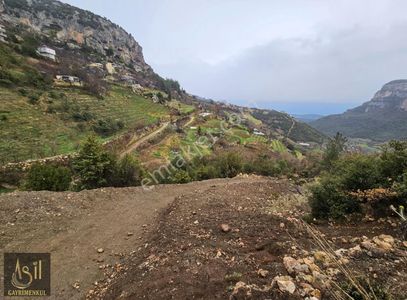 Arsa-Tarla