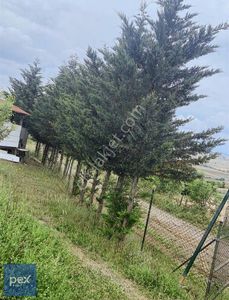 Arsa-Konut İmarlı