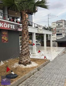 İşyeri-Dükkan & Mağaza