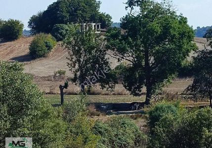 Arsa-Tarla