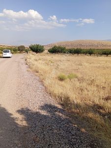 Arsa-Bağ & Bahçe