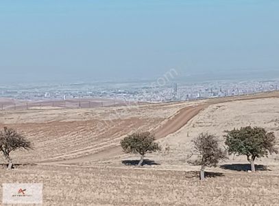 Arsa-Tarla