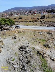 Arsa-Bağ & Bahçe