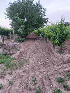 Arsa-Tarla