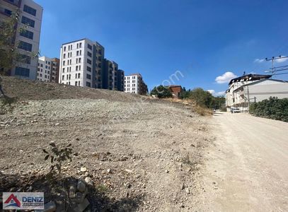 Arsa-Konut İmarlı