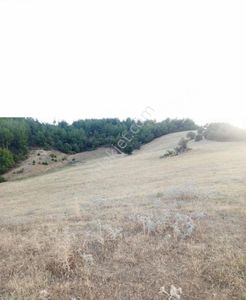 Arsa-Tarla