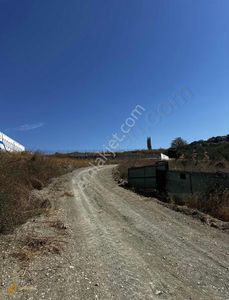 Arsa-Tarla