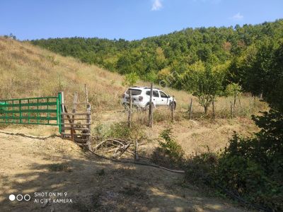 Arsa-Bağ & Bahçe