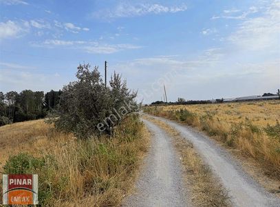 Arsa-Tarla