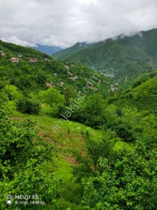 Arsa-Tarla