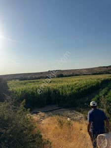 Arsa-Tarla
