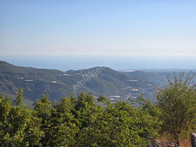 Arsa-Tarla