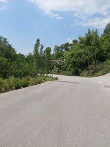 Arsa-Tarla