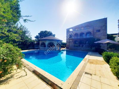 İşyeri-Villa (İşyeri)