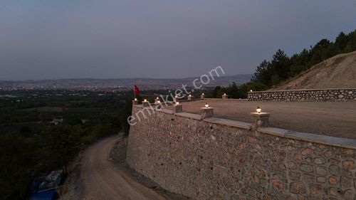 Arsa-Arazi