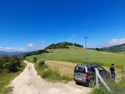 Arsa-Tarla