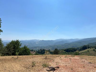 Arsa-Konut İmarlı