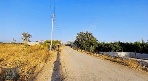 Arsa-Bağ & Bahçe