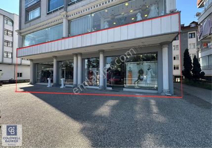 İşyeri-Dükkan & Mağaza