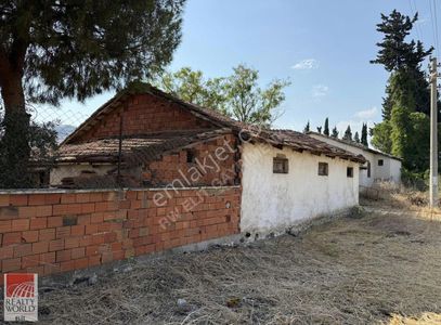 Arsa-Zeytinlik
