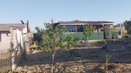 Arsa-Bağ & Bahçe