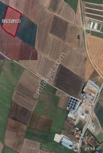 Arsa-Tarla