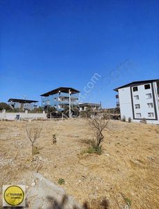 Arsa-Konut İmarlı