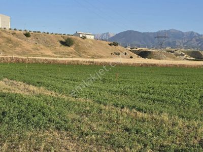 Arsa-Tarla