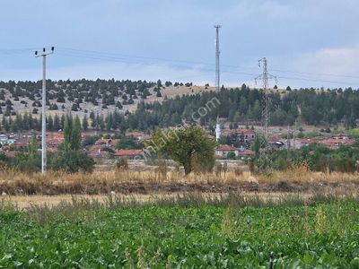 Arsa-Tarla