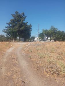 Arsa-Tarla