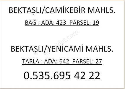 Arsa-Bağ & Bahçe