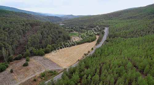 Arsa-Tarla