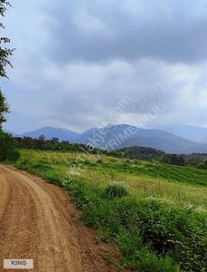 Arsa-Tarla