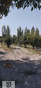 Arsa-Tarla