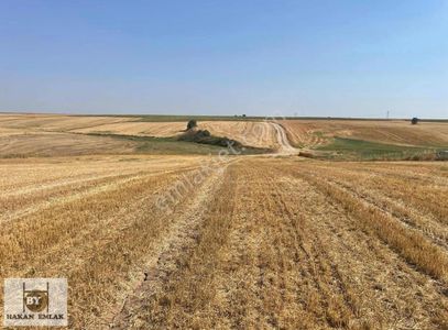 Arsa-Sanayi İmarlı