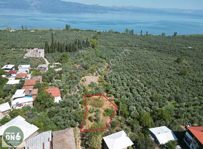 Arsa-Konut İmarlı