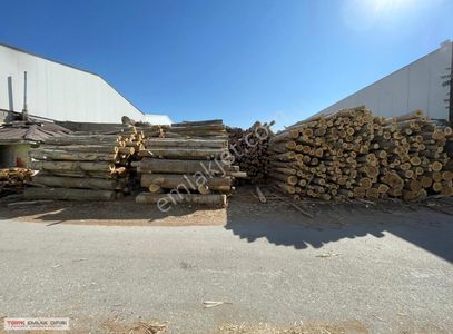 İşyeri-Dükkan & Mağaza