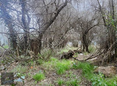Arsa-Bağ & Bahçe