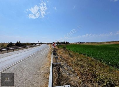 Arsa-Depo, Antrepo İzinli