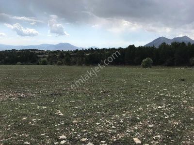 Arsa-Tarla