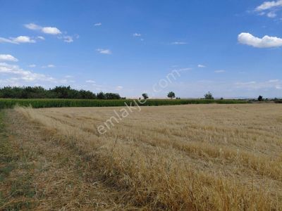 Arsa-Tarla