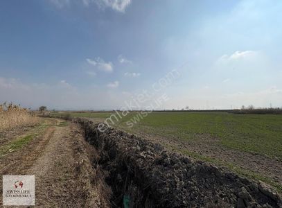 Arsa-Tarla